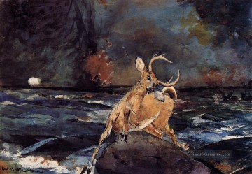  Marinemaler Malerei - einen guten Schuss Adirondacks Realismus Marinemaler Winslow Homer